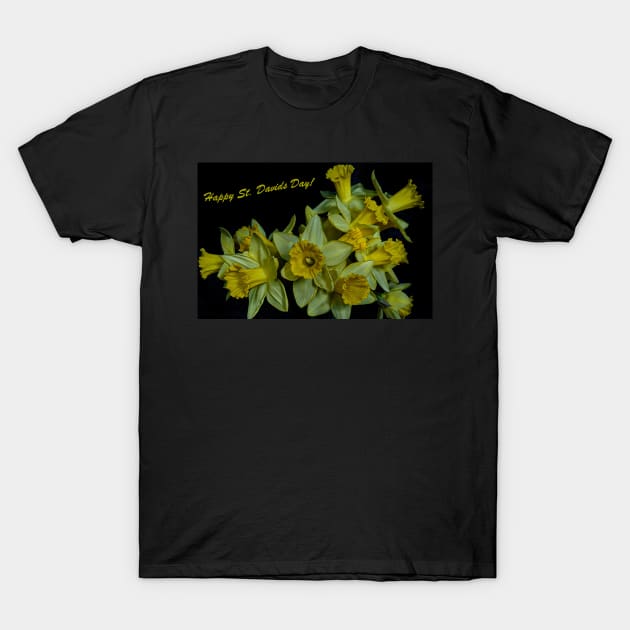 HAPPY ST. DAVIDS DAY! T-Shirt by dumbodancer